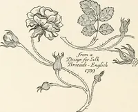 An illustration from Heraldry and floral forms as used in decoration; (1922)