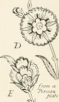 Picture 136 of 234 from Heraldry and floral forms as used in decoration; (1922), leaf 153