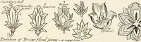 An illustration from Heraldry and floral forms as used in decoration; (1922)