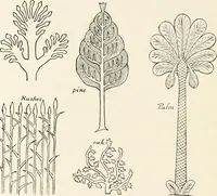 An illustration from Heraldry and floral forms as used in decoration; (1922)
