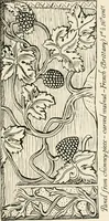 An illustration from Heraldry and floral forms as used in decoration; (1922)