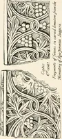 An illustration from Heraldry and floral forms as used in decoration; (1922)
