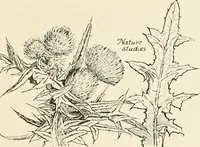 An illustration from Heraldry and floral forms as used in decoration; (1922)