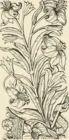 An illustration from Heraldry and floral forms as used in decoration; (1922)