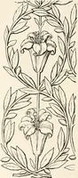 An illustration from Heraldry and floral forms as used in decoration; (1922)