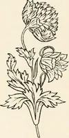 An illustration from Heraldry and floral forms as used in decoration; (1922)