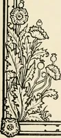 An illustration from Heraldry and floral forms as used in decoration; (1922)