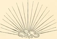 An illustration from Heraldry, historical and popular : with seven hundred illustrations (1863)