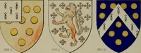 Picture 80 of 233 from Heraldry, historical and popular (1864), leaf 248