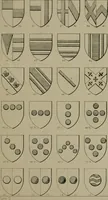Picture 13 of 233 from Heraldry, historical and popular (1864), leaf 47