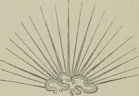 An illustration from Heraldry, historical and popular (1864)