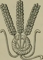 An illustration from Heraldry, historical and popular (1864)
