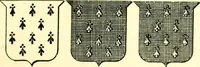 An illustration from Heraldry illustrated. Being a short account of the origin and history of heraldry and an explanation of its nature, with practical directions for drawing and painting coats of arms, to which is added a glossary of the terms used in the science of heraldry .. (1897)