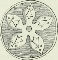 An illustration from Heraldry in Scotland : including a recension of 'The law and practice of heraldry in Scotland' by the late George Seton (1914)