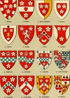 An illustration from The heraldry of the Hamiltons; with notes on all the males of the family, description of the arms, plates and pedigrees (1909)