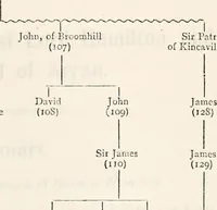 An illustration from The heraldry of the Hamiltons; with notes on all the males of the family, description of the arms, plates and pedigrees (1909)