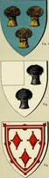 An illustration from The heraldry of the Johnstons : with notes on the different families, their arms and pedigrees (1905)