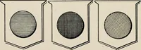An illustration from Heraldry simplified; a popular treatise on the subject of heraldry, together with a glossary of technical terms, and nearly two hundred drawings (1899)