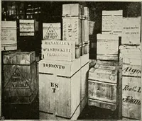 Picture 90 of 211 from Heralds of the morning : the meaning of the social and political problems of to-day and the significance of the great phenomena in nature (1909), leaf 134