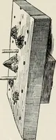 Picture 160 of 211 from Heralds of the morning : the meaning of the social and political problems of to-day and the significance of the great phenomena in nature (1909), leaf 285