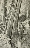 Picture 174 of 211 from Heralds of the morning : the meaning of the social and political problems of to-day and the significance of the great phenomena in nature (1909), leaf 327