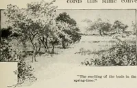 Picture 27 of 211 from Heralds of the morning : the meaning of the social and political problems of to-day and the significance of the great phenomena in nature (1909), leaf 54