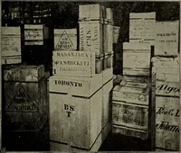 Picture 86 of 209 from Heralds of the morning : the meaning of the social and political problems of to-day and the significance of the great phenomena in nature (1912), leaf 133