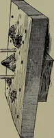 An illustration from Heralds of the morning : the meaning of the social and political problems of to-day and the significance of the great phenomena in nature (1912)