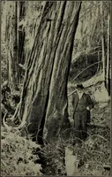 Picture 169 of 209 from Heralds of the morning : the meaning of the social and political problems of to-day and the significance of the great phenomena in nature (1912), leaf 326