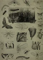 An illustration from Heralds of the morning : the meaning of the social and political problems of to-day and the significance of the great phenomena in nature (1912)