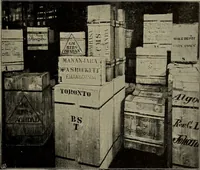 Picture 82 of 200 from Heralds of the morning; the meaning of the social and political problems of to-day and the significance of the great phenomena in nature .. (1909), leaf 133