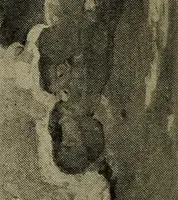 An illustration from Heralds of the morning; the meaning of the social and political problems of to-day and the significance of the great phenomena in nature .. (1909)