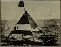 Picture 145 of 200 from Heralds of the morning; the meaning of the social and political problems of to-day and the significance of the great phenomena in nature .. (1909), leaf 271