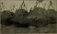 Picture 149 of 200 from Heralds of the morning; the meaning of the social and political problems of to-day and the significance of the great phenomena in nature .. (1909), leaf 280