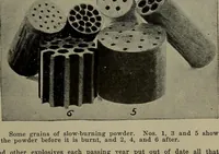 Picture 152 of 200 from Heralds of the morning; the meaning of the social and political problems of to-day and the significance of the great phenomena in nature .. (1909), leaf 283