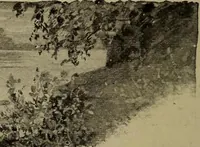 Picture 14 of 200 from Heralds of the morning; the meaning of the social and political problems of to-day and the significance of the great phenomena in nature .. (1909), leaf 30
