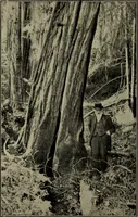Picture 166 of 200 from Heralds of the morning; the meaning of the social and political problems of to-day and the significance of the great phenomena in nature .. (1909), leaf 326