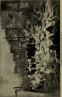 Picture 175 of 200 from Heralds of the morning; the meaning of the social and political problems of to-day and the significance of the great phenomena in nature .. (1909), leaf 342
