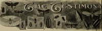 Picture 178 of 200 from Heralds of the morning; the meaning of the social and political problems of to-day and the significance of the great phenomena in nature .. (1909), leaf 348