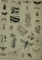 An illustration from Heralds of the morning; the meaning of the social and political problems of to-day and the significance of the great phenomena in nature .. (1909)