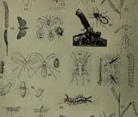 Picture 181 of 200 from Heralds of the morning; the meaning of the social and political problems of to-day and the significance of the great phenomena in nature .. (1909), leaf 352