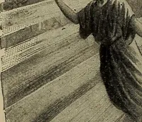 Picture 193 of 200 from Heralds of the morning; the meaning of the social and political problems of to-day and the significance of the great phenomena in nature .. (1909), leaf 398