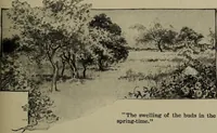 Picture 27 of 200 from Heralds of the morning; the meaning of the social and political problems of to-day and the significance of the great phenomena in nature .. (1909), leaf 53