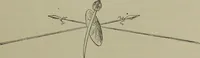 Picture 86 of 179 from Heralds of the morning, the meaning of the social and political problems of to-day and the significance of the great phenomena in nature .. (1899), leaf 134