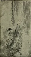 An illustration from Heralds of the morning, the meaning of the social and political problems of to-day and the significance of the great phenomena in nature .. (1899)