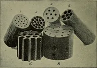Picture 127 of 179 from Heralds of the morning, the meaning of the social and political problems of to-day and the significance of the great phenomena in nature .. (1899), leaf 245