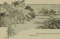 Picture 25 of 179 from Heralds of the morning, the meaning of the social and political problems of to-day and the significance of the great phenomena in nature .. (1899), leaf 53