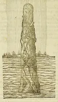 Picture 57 of 57 from The herball or Generall historie of plantes. (1597), leaf 1416