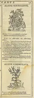 Picture 5 of 87 from Herbario nuouo (1585), leaf 47
