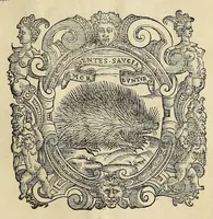 An illustration from Herbario nuouo (1585)